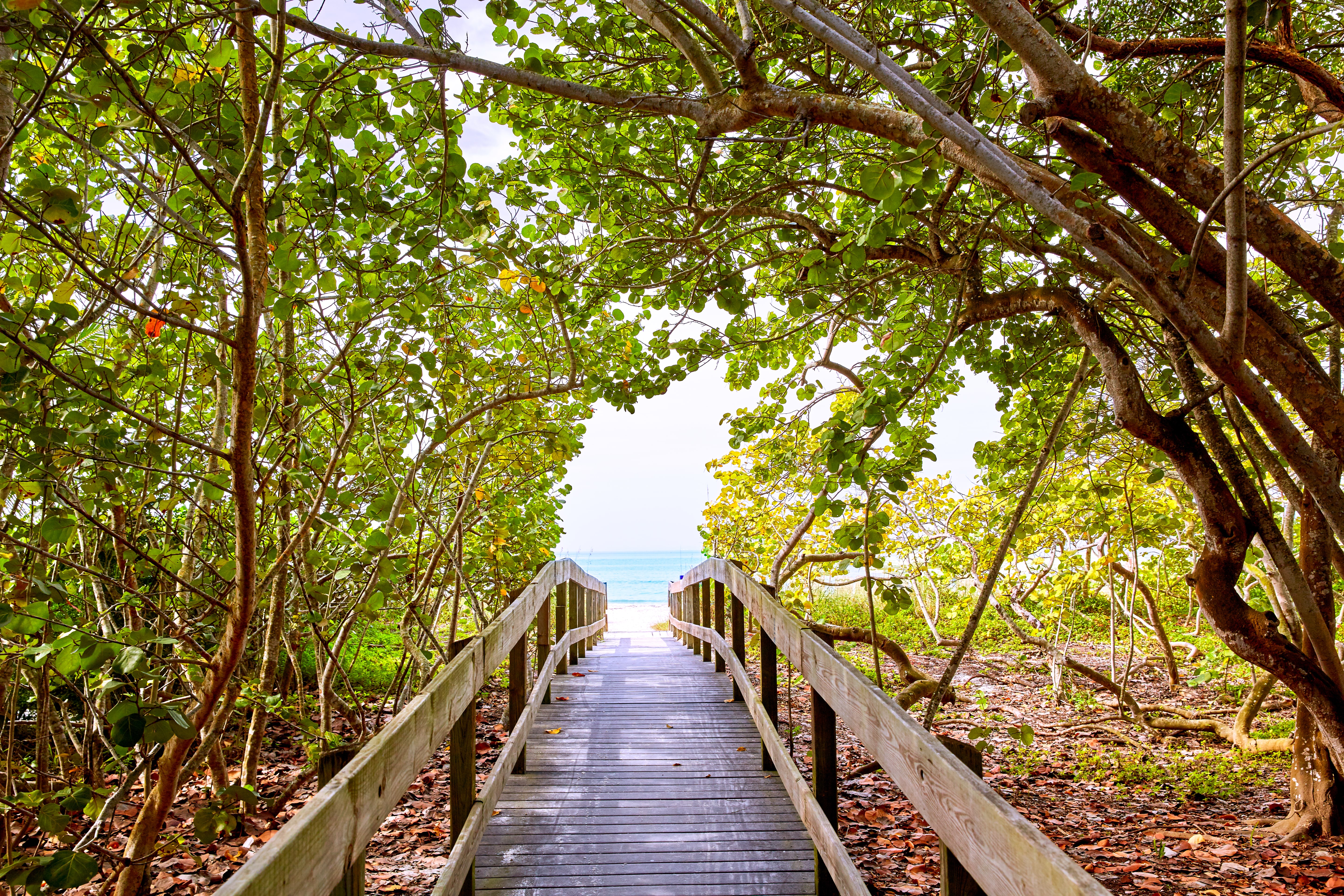 Private Beach Park Access at Estancia in Bonita Bay